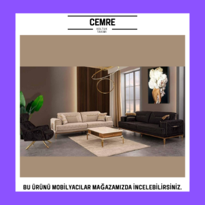 Cemre Koltuk Takımı